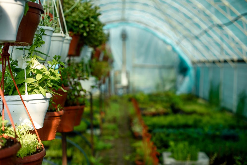 How To Heat A Mini Greenhouse