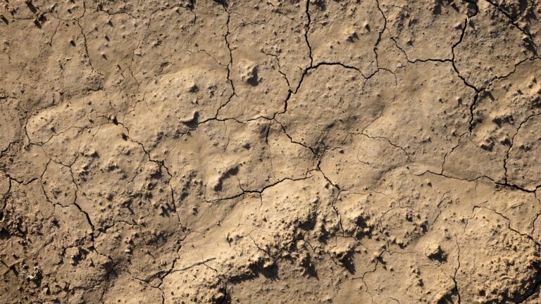clay-dirt-topsoil-2