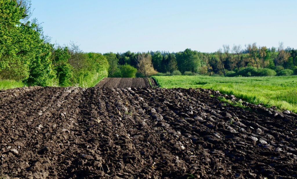 what's the difference between topsoil and garden soil? garden-soil-topsoil-organic-compost-louisiana