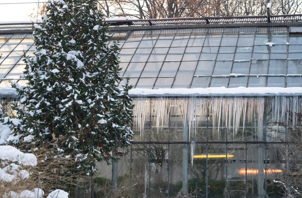 How To Heat A Mini Greenhouse in winter