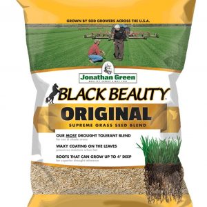 black beauty bermuda grass seed 50 lb bag