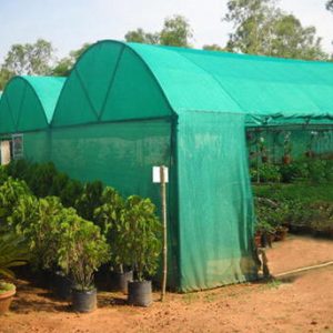 green shade cloth