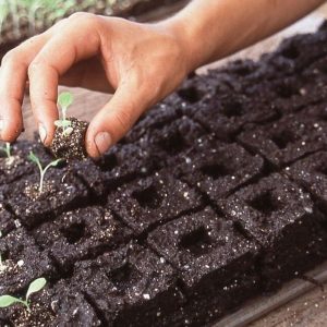 soil blocks for soil blocking tool