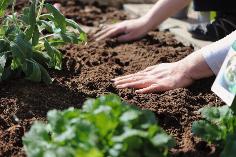 vegetable garden soil raised bed soil - bulk garden soil and flower bed dirt